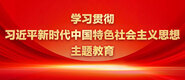 逼逼差毛片学习贯彻习近平新时代中国特色社会主义思想主题教育_fororder_ad-371X160(2)